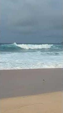 Big Set at Sandys - Morning 4/8/26