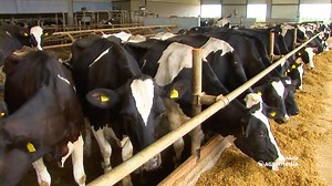 PROTEST 05.04: Blokada nije hir! Poljoprivrednici kažu: "Dolazi...