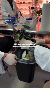 A quick look behind the scenes of this past weekend’s Houseplants Tissue Culture Master Class—two full days of hands-on learning, real lab work, and a room full of people committed to growing their skills and their collections. From pouring media and sterilizing explants to working under the flow hood and taking cultures ex vitro, every moment was packed with practice, questions, breakthroughs, and the excitement that comes with finally understanding how tissue culture really works. There’s noth