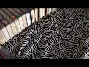 My Walt Disney Animation Studios VHS/DVD Collection (2019 Edition) Part 1