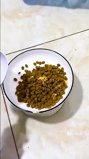 Najsprytniejszy Pies Na Świecie!😅❤️