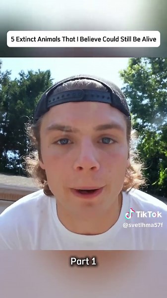 How (NOT) To Build A BUDGET SLAMMED S-10!Part-1 | S10 Build