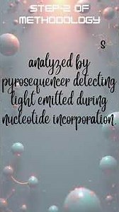 Bisulfite Pyrosequencing