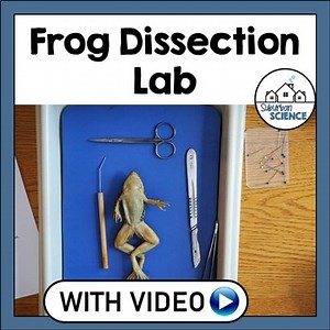 Frog Dissection Lab - High School Biology or Middle School- Internal & External