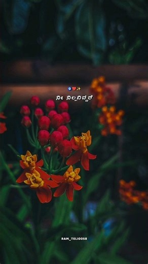 ✨❤️ #hit #kannada #kannadasongs #melody #song #love #music #coversong #viralshort #cover