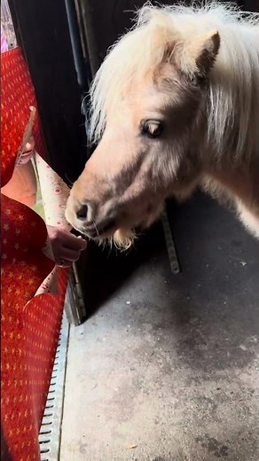 Dein Favorit? 1, 2, 3 oder 4? - So eine simple Idee!