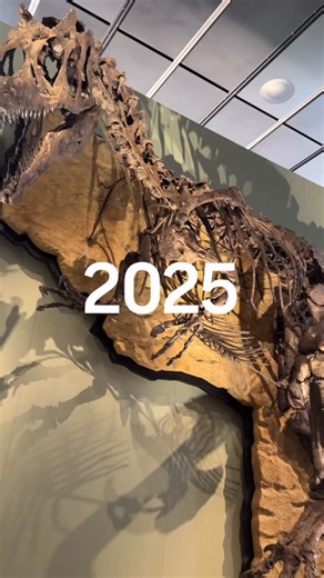 Terence dinosaur on Instagram: "🇫🇷 Je tenais à vous dire MERCI ☺️ pour cette année de folie ! Au cours de laquelle j’ai pu partager pleins de nouvelles expériences avec vous ! 🦖 Ça a été un véritable plaisir ! Je vous souhaite une excellente nouvelle année et je vous dis à l’année prochaine pour de nouvelles aventures ensemble !🦖🙌 - 🇬🇧 I wanted to say THANK YOU ☺️ for this crazy year! During which I was able to share lots of new experiences with you! 🦖 It has been a real pleasure! I wish