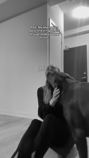 Daily dose of doggy kisses 🤍 #bestpartoftheday #doggykisses #dog #labradorretriever #lab #chocolatelab #doglover #pets #dogs #love