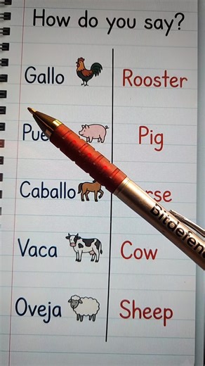 Learn English: Essential Tips and Strategies