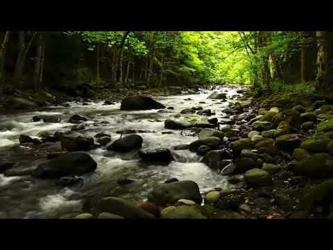 Sound of running water in the forest | Relax and enjoy the silence | White noise