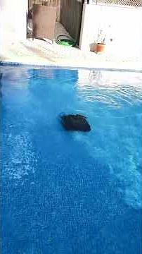 Wybot C2 Cordless Robotic Pool Cleaner with APP #roboticpoolcleaner