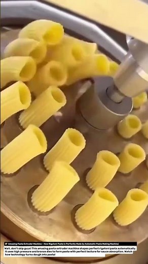 👉 Amazing Pasta Extruder Machine.