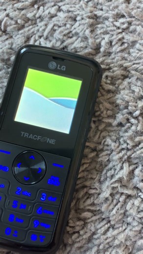 LG 300G (TracFone) - Battery empty