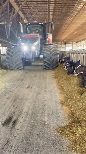 THIS TRACTOR OWNS THE BARN 😳🐄 #tractor #farming #farmlife