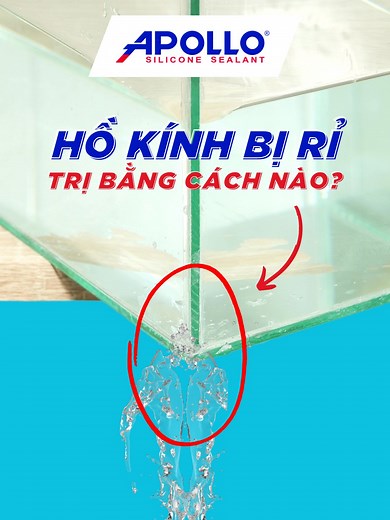Cách dán hồ kính bị rò rỉ cực đơn giản với Apollo Silicone A300