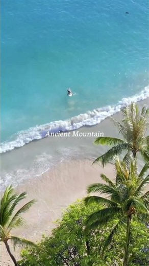 Soothing Hawaiian Music to Relax Your Mind & Body 🌺 Vol.1｜Hawaiian Music｜Work BGM・Relaxing BGM