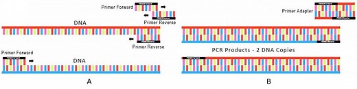DNA Cleanup for NGS Library: Basics, Methods and Examples - NVIGEN