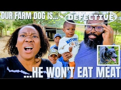 Our Farm Dog May Be A "VEGAN"!!! | BUILDING A 1ST GENERATION FARM IN MISSISSIPPI {Debt Free}