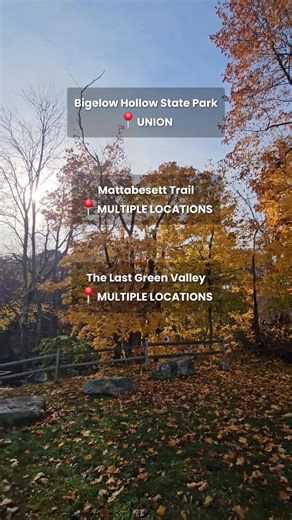 🥾 Take a hike! Did you know that today is #NationalHikingDay ? Better yet, did you know that Connecticut is ranked as the # 1 state in America for hiking? There's so many parks and trails it may feel overwhelming! That's why we put together this list of 8 places to get you started. Whether you're hiking, biking, or just plain walking, CT has something for everyone - so what are you waiting for? Get out and explore! Tap the link below for more hiking inspo 🔗 https://ctvisit.com/hiking #ctvisit 