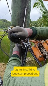 36K views · 247 reactions | tightening / fixing loopclamp dead end #everyoneシ゚ #everyonehighlightsfollowers #highlights2025 #fypシ゚viralシfypシ゚ #highlightseveryone #followerseveryonehighlights #pobrenglineman2 #fypシviralシ2024 #fypシ゚viralシ #fypシ゚viralシfypシ゚viralシalシ #linemanwork #lineman #electricity #electricalwork #fypシ #foryoupagereels | PobrengLineman2.0 | Facebook