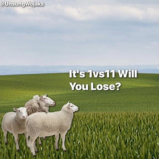 Casper Saves His Sheeps From 11 Coyotes