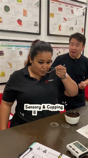 Build Your Coffee Career: The 5 Modules of the SCA Program ☕️🗺️ | CAN Academy