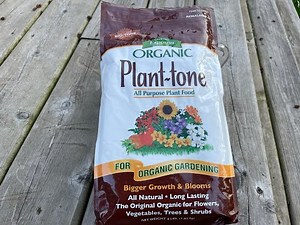 Best fertilizer for arborvitae? Pt-1 Make your arborvitae grow faster. Best soil type for arborvitae