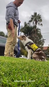 301 reactions · 11 shares | Want a career that offers freedom,...