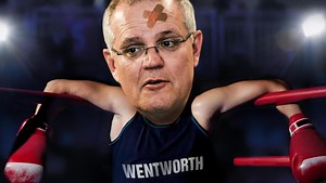 Wentworth by-election tipped to cause havoc