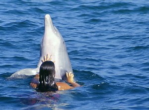 Dolphin-Assisted Birth: Therapeutic or Wishful Thinking? [VIDEO]