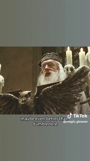 Magic Gleaner on TikTok