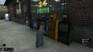 ItalianNinjaa - Cats have 7- no, 6 lives!