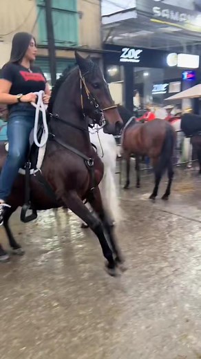 641K views · 10K reactions | Feliz día mujeres  hermosas, Valientes, guerreras y luchadoras  | Sebas Escobar | Facebook