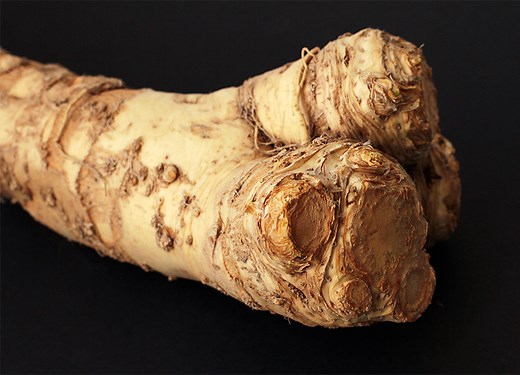 Andrew Zimmern Cooks: How to Prepare Fresh Horseradish - Andrew Zimmern