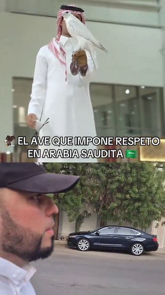 🦅 En Arabia Saudita, el halcón es admirado por su fuerza, velocidad y resistencia en el desierto. Una verdadera leyenda de la cultura árabe! 🇸🇦 #ArabiaSaudita #Halcón #CulturaÁrabe #LatinoEnMedioOriente