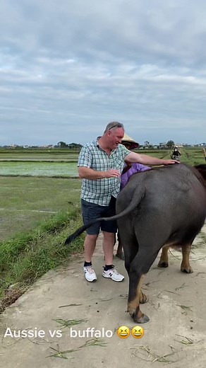 Aussie Man Rides Buffalo in Rural Adventure