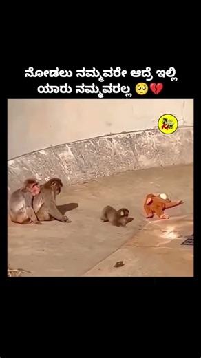 Mother's love 🥰❤️ #shortvideo #lovemusic #emotional #motherlove #youtubeshorts #youtubevideo