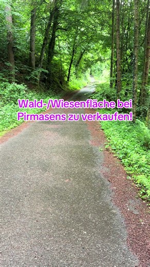 Wald- und Wiesenfläche in Pirmasens zu verkaufen!