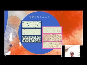 グラム染色を理解しよう１