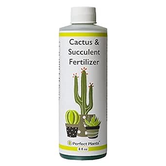 Perfect Plants Liquid Cactus & Succulent Fertilizer 8oz. | Food for Live Succulents, Cacti, Aloe & More | Indoor and Outdoor Use with Every Watering