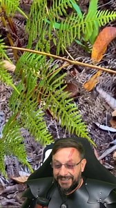 Bothrops leucurus batendo a cauda #biologohenrique #animais #bichoesperto #biologo | Biólogo Henrique o Biólogo das Cobras