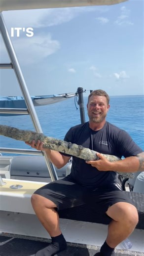 A Musket! We find thousands of Musket Balls but this is the 1st Musket we have found! Next step to get it to the lab to for our archaeologists to identity the time period it came from! #artifacts #treasurehunting #archaeology #musket #treasure | Carl Allen