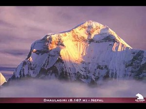 Internal dynamics of the Earth.