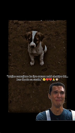 Is dog ki aankhon me sawal hai… jawab kisi ke paas nahi 😢”#shorts#saddog#animalemotion#sadanimal