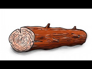 Can you Draw A Wood Log to Make it Look Real?? It's so simple