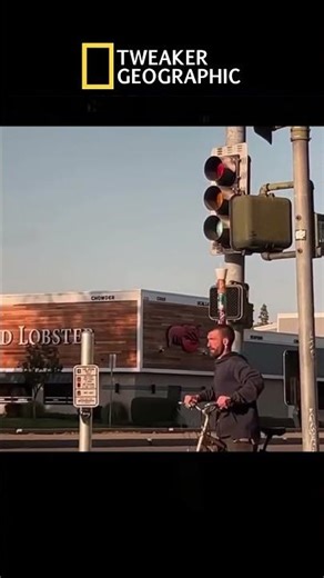 Cans, Cup , Chaos #fypシ #comedyfilms #helpmemakethismakesense #funny #nature #automobile