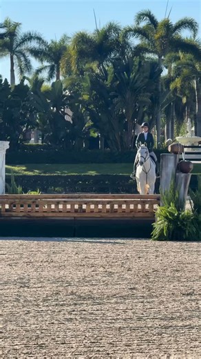 Kicking off the 2026 Winter Equestrian Festival at @wellingtoninternational_wef with Christy Violin and Blue Moon as champion in the IDA Development $730 Adult Amateur Hunters 36 & Over. Congratulations! Here’s to an exciting season ahead filled with great rides and more champions! #Wef #wellingtoninternational #wellington #florida #wef2026 | IDA Development