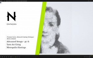 Houdini Entagma Advanced Setups 06 - Yarn Art Using Metropolis Hastings Sampling