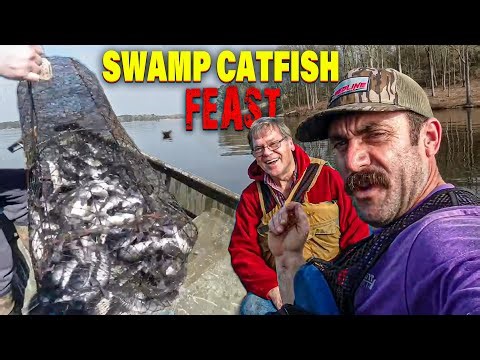Deep in the Louisiana Swamps....Wire Nets FULL of Catfish! (Catch and Cook)