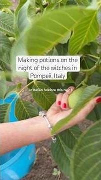 Making Nocino from the garden! #lifeinitaly #italiantraditions